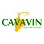 Cavavin Lyon